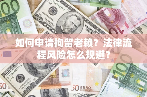 武汉如何申请拘留老赖？法律流程风险怎么规避？