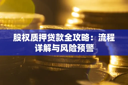 武汉股权质押贷款全攻略：流程详解与风险预警