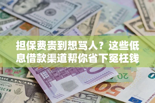 武汉担保费贵到想骂人？这些低息借款渠道帮你省下冤枉钱