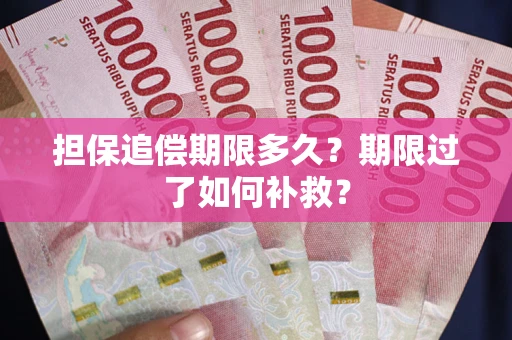 武汉担保追偿期限多久？期限过了如何补救？