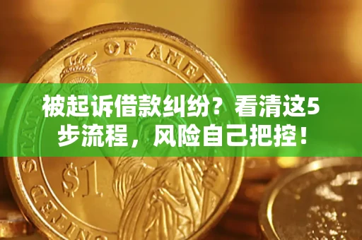 武汉被起诉借款纠纷？看清这5步流程，风险自己把控！