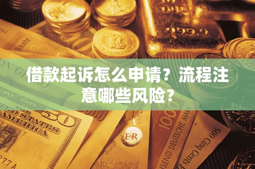 武汉借款起诉怎么申请？流程注意哪些风险？
