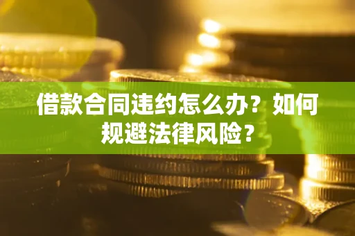 武汉借款合同违约怎么办？如何规避法律风险？
