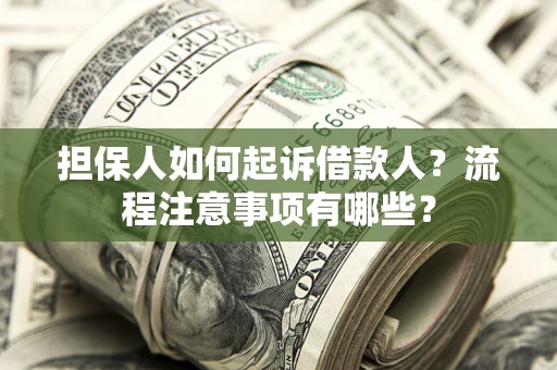 武汉担保人如何起诉借款人？流程注意事项有哪些？